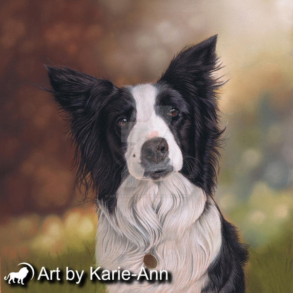 Dog Portraits from Art by Karie-Ann - Perdy