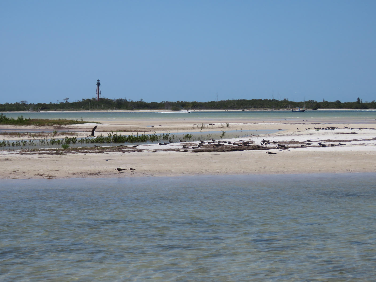 Nice day on Anclote Key