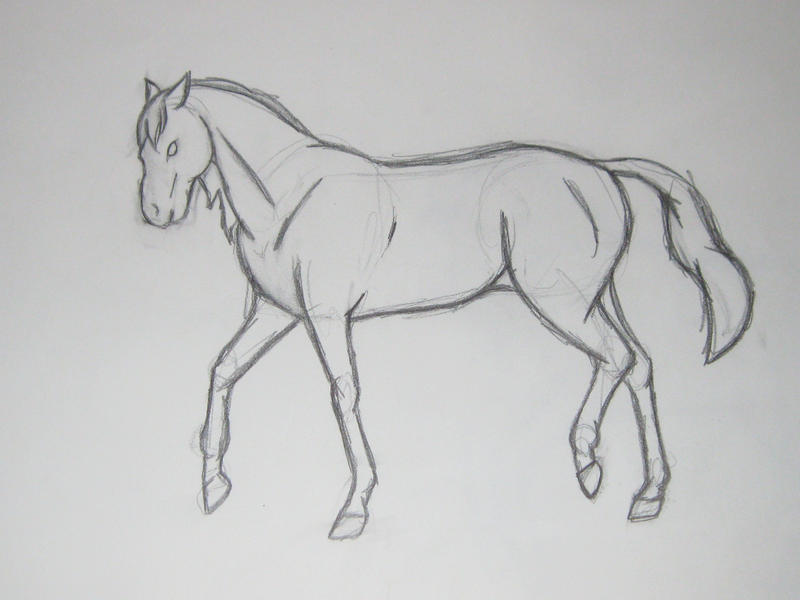 Trot Sketch -NFY