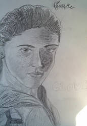 Clove