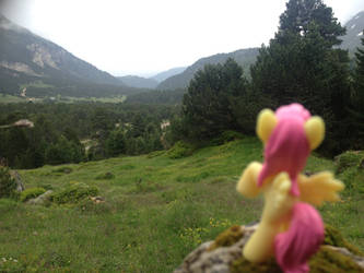 Fluttershy on a mountain