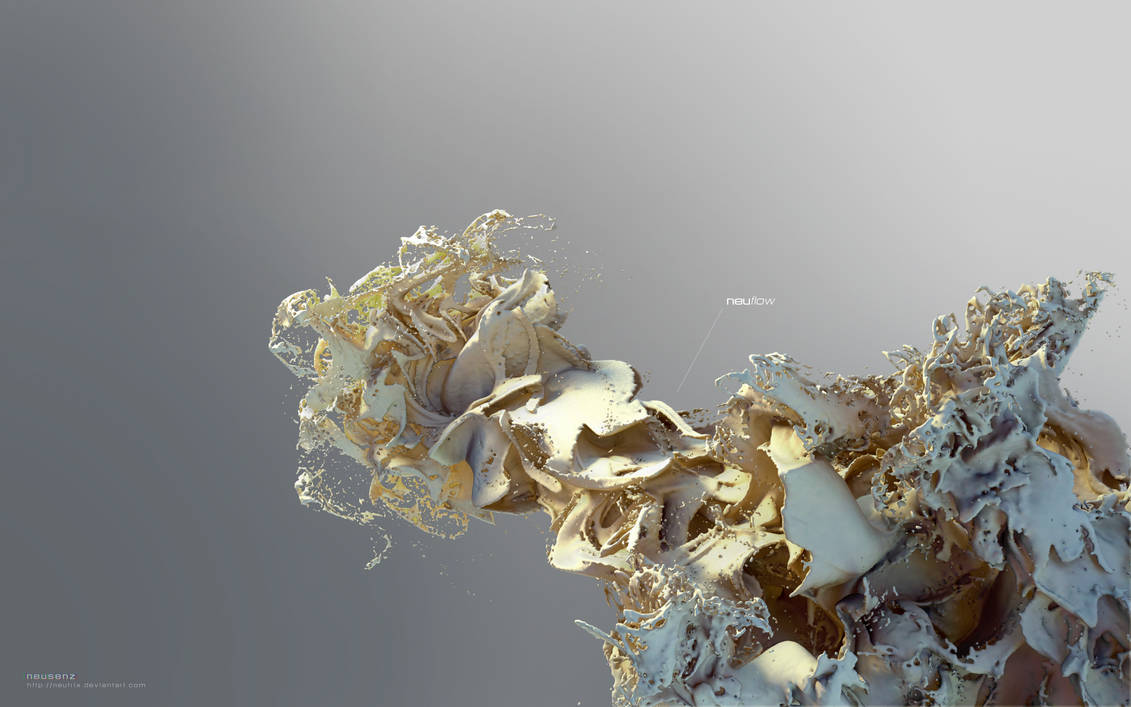 Splash: neuflow by neutrix