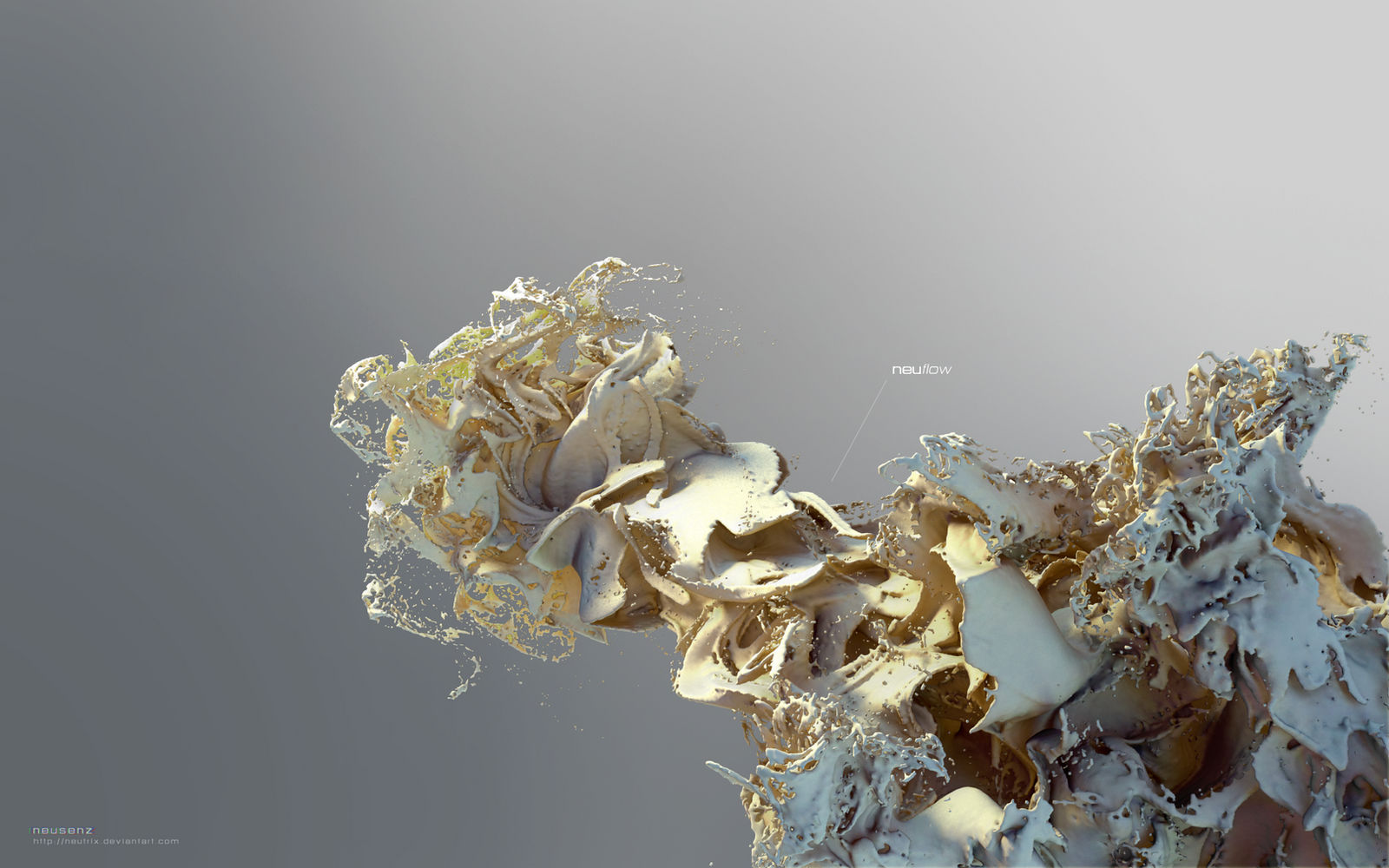 Splash: neuflow by neutrix