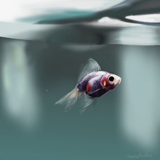 fish - 1 hour digital drawing