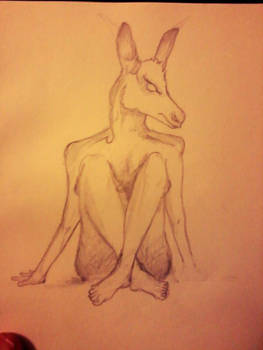 Naked Donkey Woman