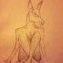 Naked Donkey Woman