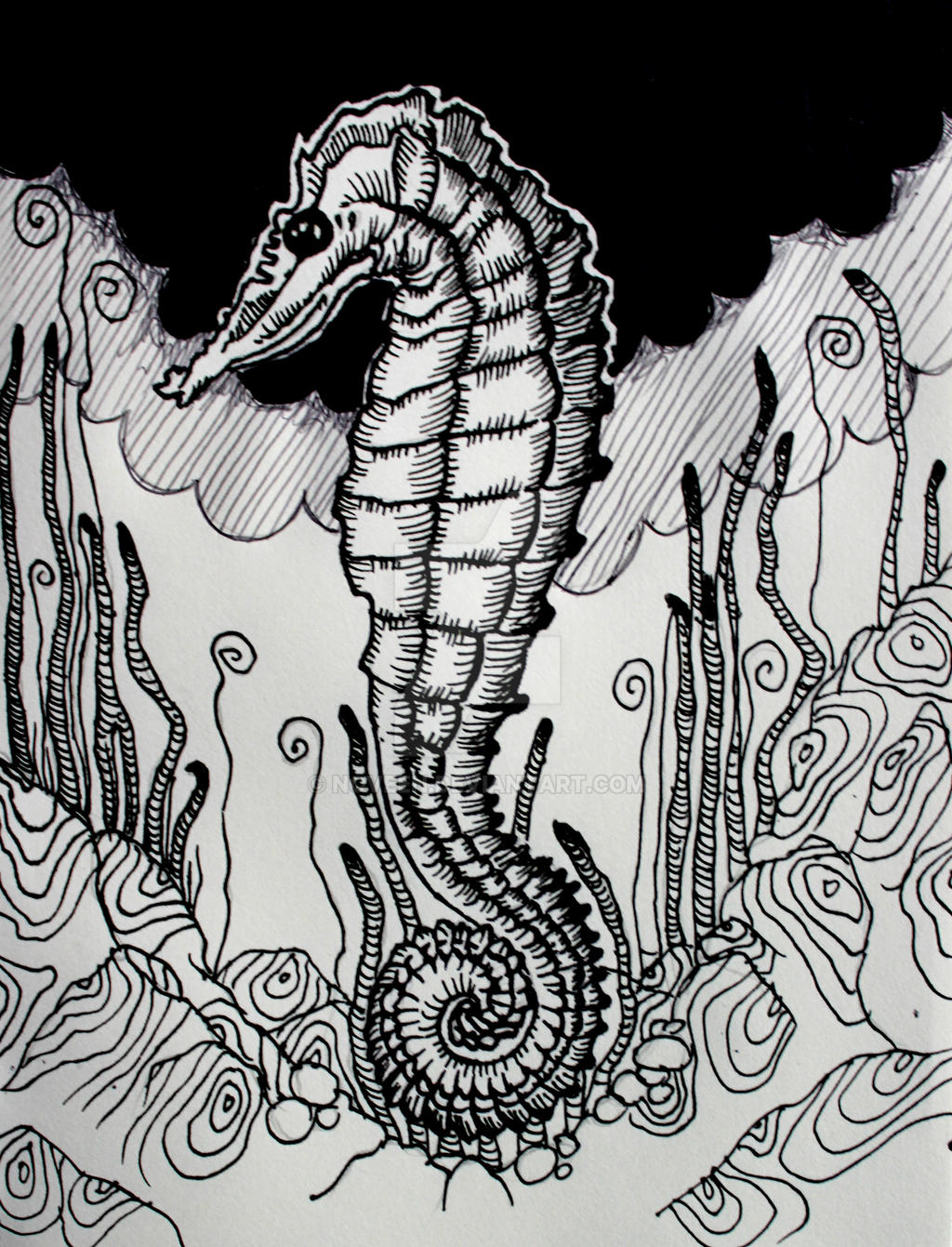 Sea Horse