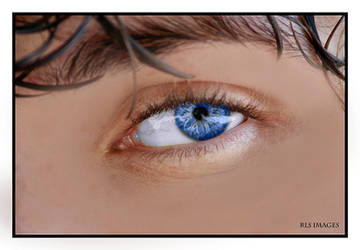 Mr.Blue Eyes 3