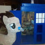 Dr whooves mlp plush with Tardis case