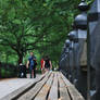 Bench in Central Park