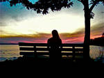 Lonely Admiration by SageFillyLuna