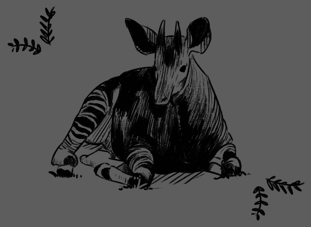Okapi Sketch by Liilek on DeviantArt
