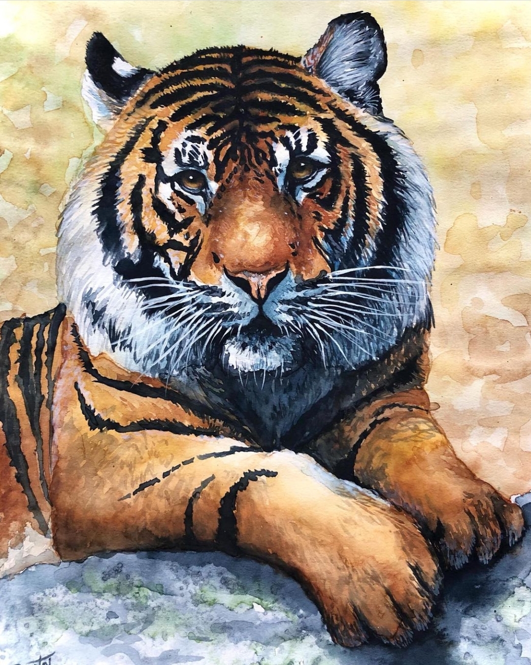 tiger by sonja994 on DeviantArt
