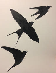 swift silhouettes