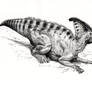 Parasaurolophus walkeri