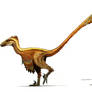 Deinonychus antirrhopus