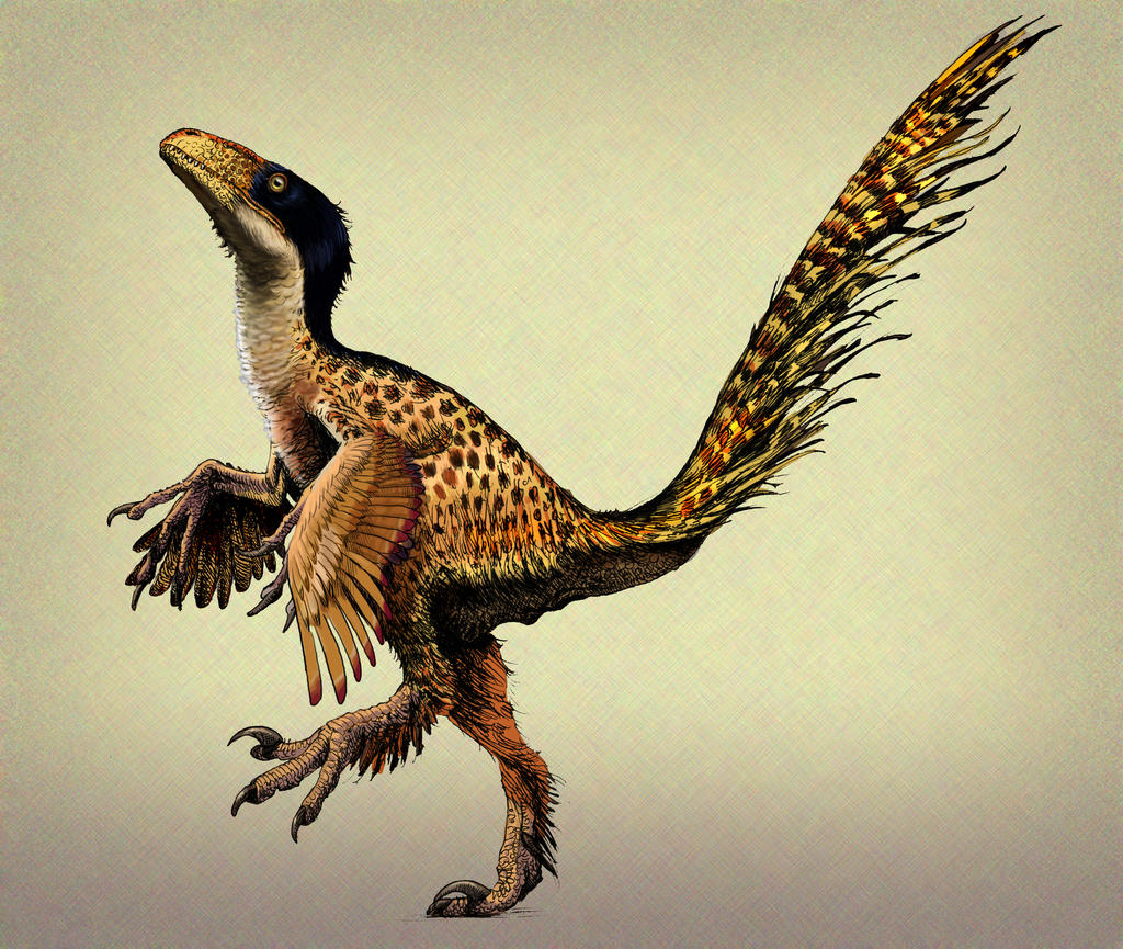 Utahraptor update