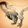 Fluffy Deinonychus