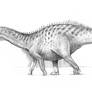 Dicraeosaurus