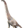 Giraffatitan