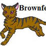 Brownfern