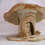 Mushroom House 01