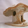 Mushroom House 06