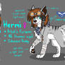 Hermi Character Sheet (feral) 2016