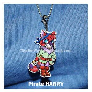 Pirate HARRY