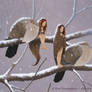 Fairies in the snow