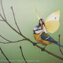 Fairy riding a tit