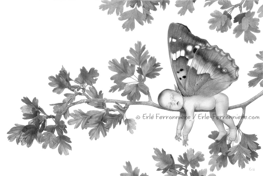 Bebe aubepine (dessin)