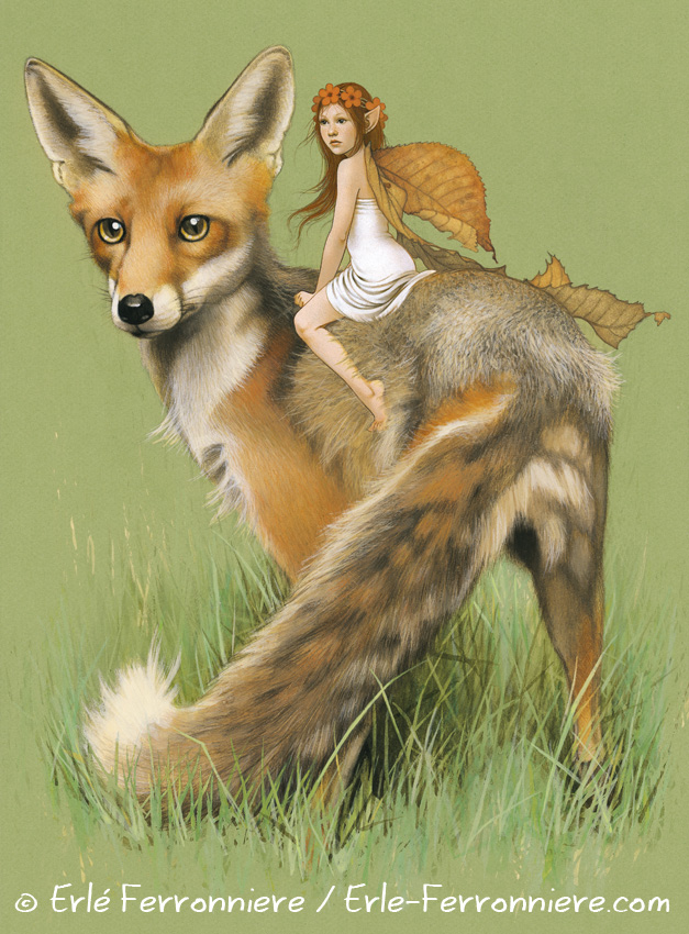 Renard vert modifie