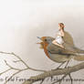 The fairy on the robin (modified)