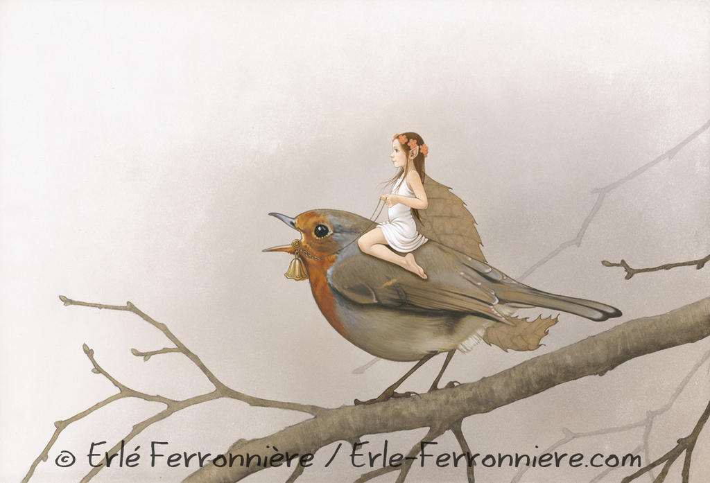 The fairy on the robin (modified)