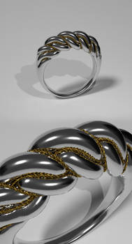 3d model of Namey ring