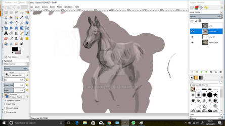 Little Foal Wip 2