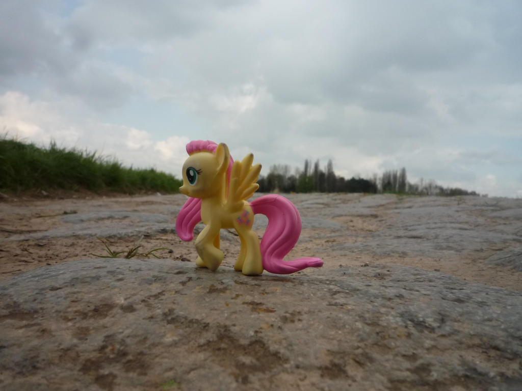 Fluttershy on the Paris-Roubaix road, France