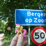 Fluttershy in Bergen-op-Zoom, Netherlands