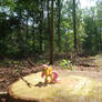 Fluttershy in Bergen-op-Zoom forest, Netherlands