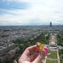 Fluttershy at the Eiffel Tower, Paris