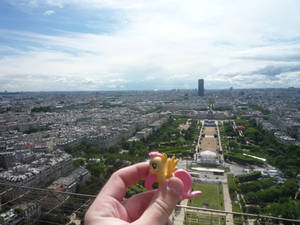 Fluttershy at the Eiffel Tower, Paris