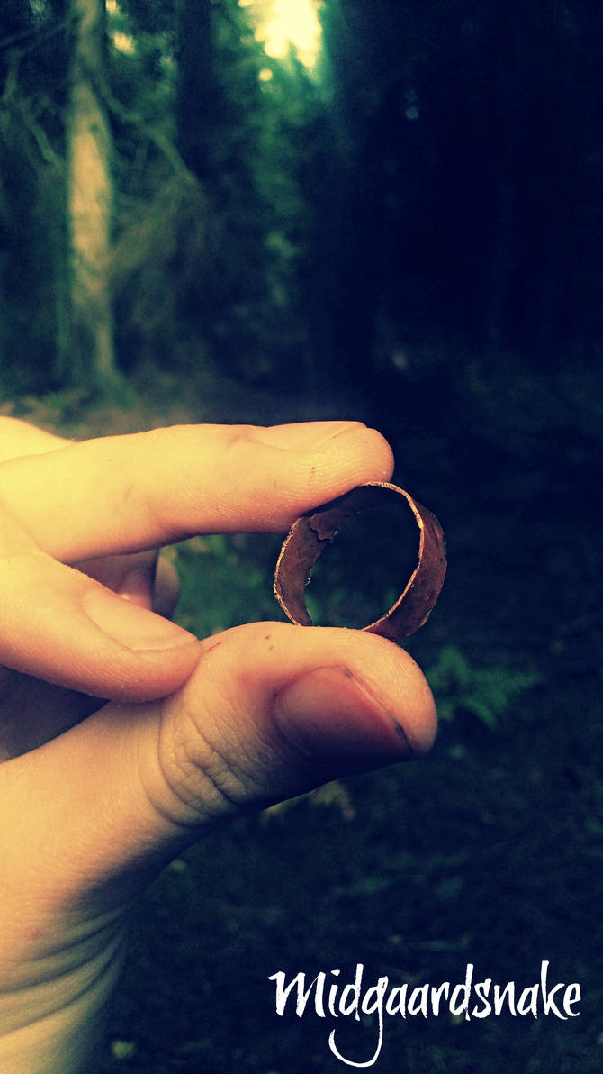 The Elder Ring by Midgaardsnake on DeviantArt