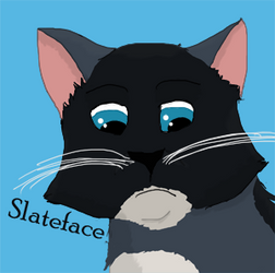 Slateface