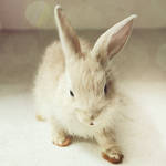 His Name Is Popcorn by misssnap