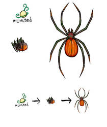 SQUIBY - Pumpkin Spider