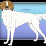 GF Blue Kerlew Hound of GR