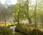 The Beauty of Malham by The-Wandering-Ranger