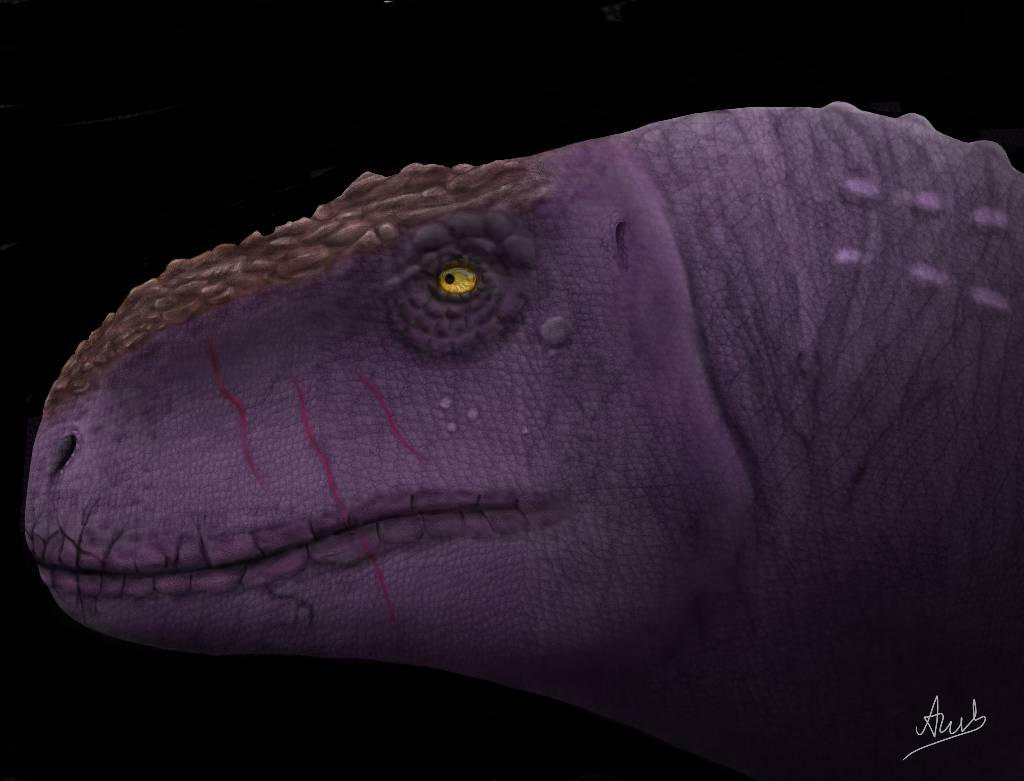 Rahiolisaurus gujaratensis by AnshSaxena777 on DeviantArt