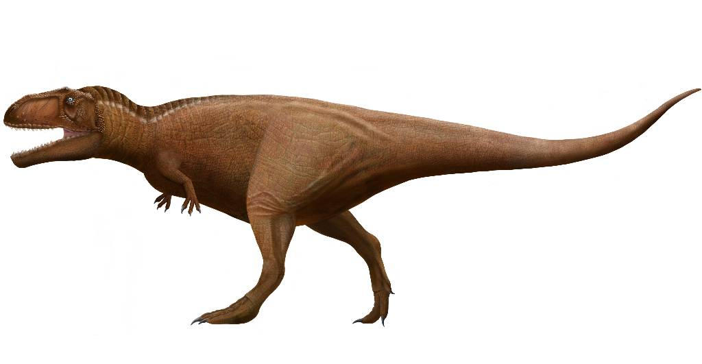 Meraxes gigas Reconstruction by AnshSaxena777 on DeviantArt